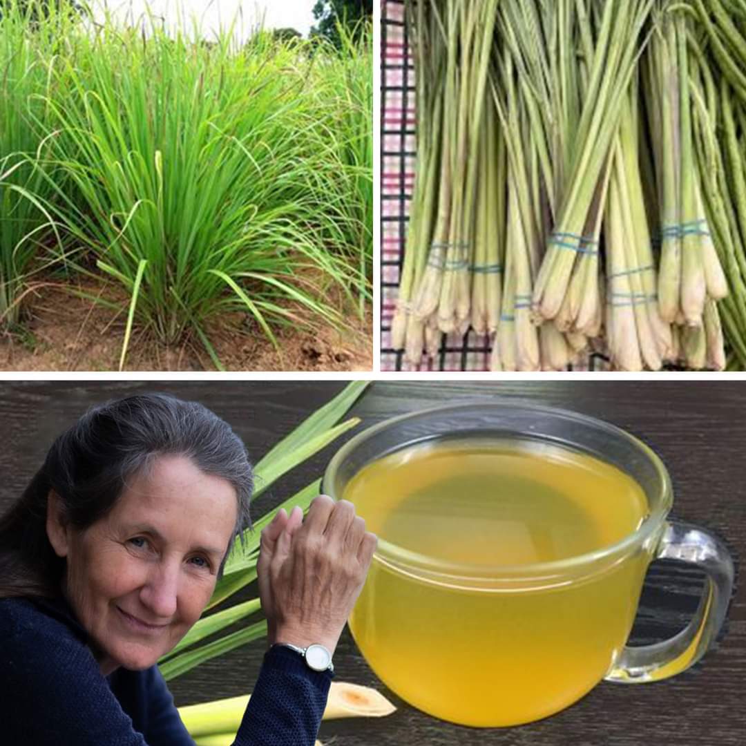 Lemongrass Tea with multiple Health Benefits Recipe