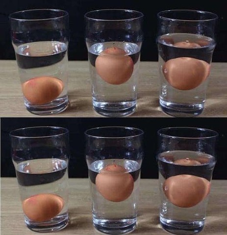 Fresh Eggs or Fowl Play? Your Guide to Checking Egg Freshness