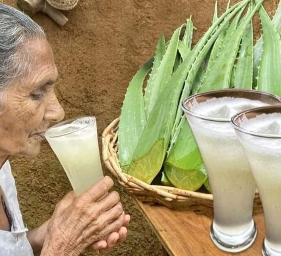 Grandma’s Fresh Aloe Vera Juice Recipe