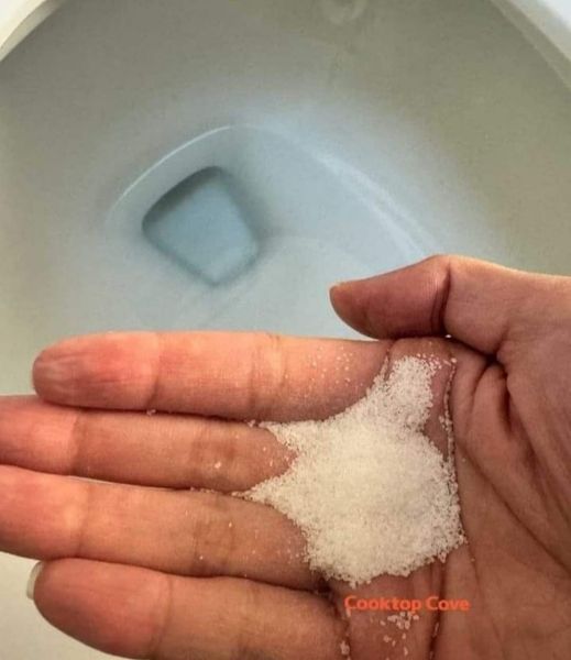 Salt in the Toilet: A Surprising Maintenance Tip
