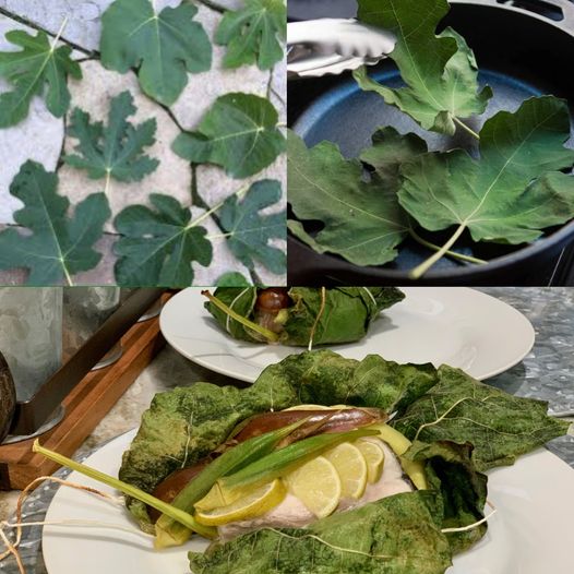Grilled Fish Wrapped in Fig Leaves