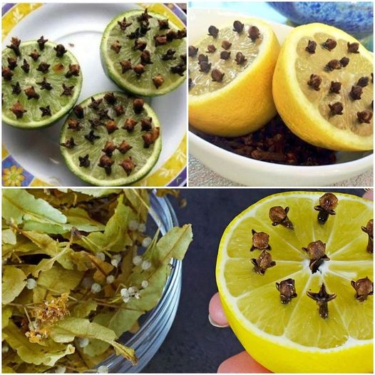 Natural Expectorant Recipe
