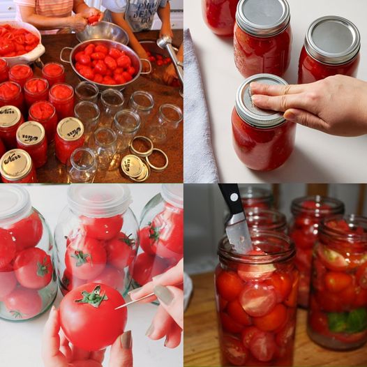 Fresh Tomato Preservation for a Year (No Salt, No Vinegar)