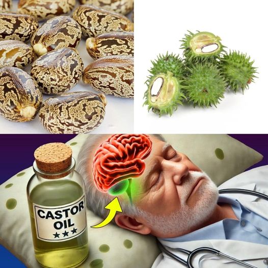Castor Oil After 50: What Happens After 7 Days of Use