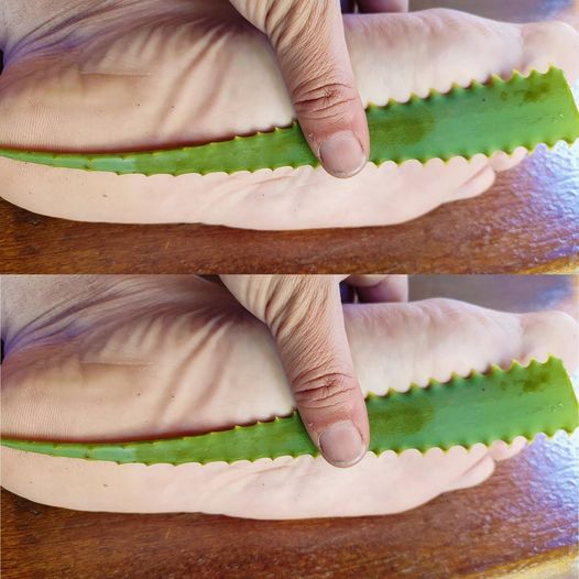 Aloe Vera Foot Soother Recipe