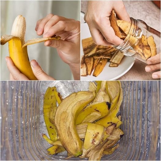 Banana Peel Curry Recipe