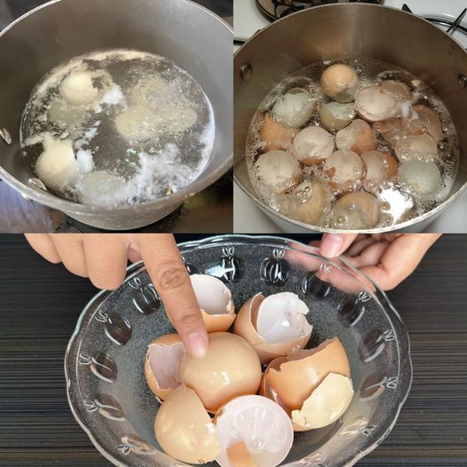 Don’t Throw Away Eggshells! Soak Them and Discover Their Amazing Benefits