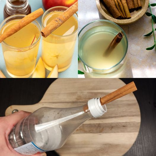 Cinnamon-Infused Apple Cider Vinegar Drink