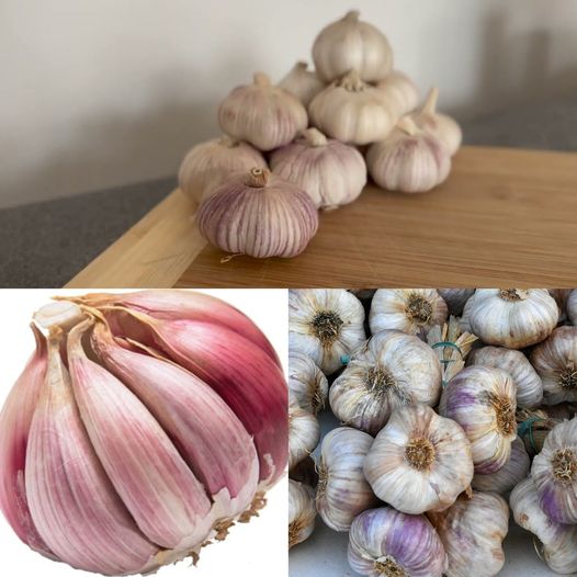 Long-Lasting Garlic Preserved in Oil