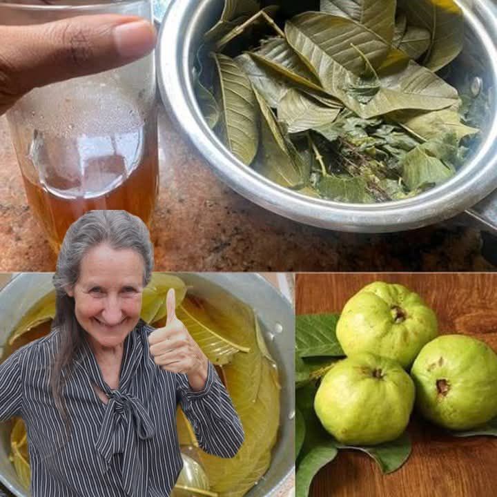 The Best Tea for Mornings and After Dinners: Garlic, Turmeric, Onion, Ginger, Cinnamon, and Guava Leaves