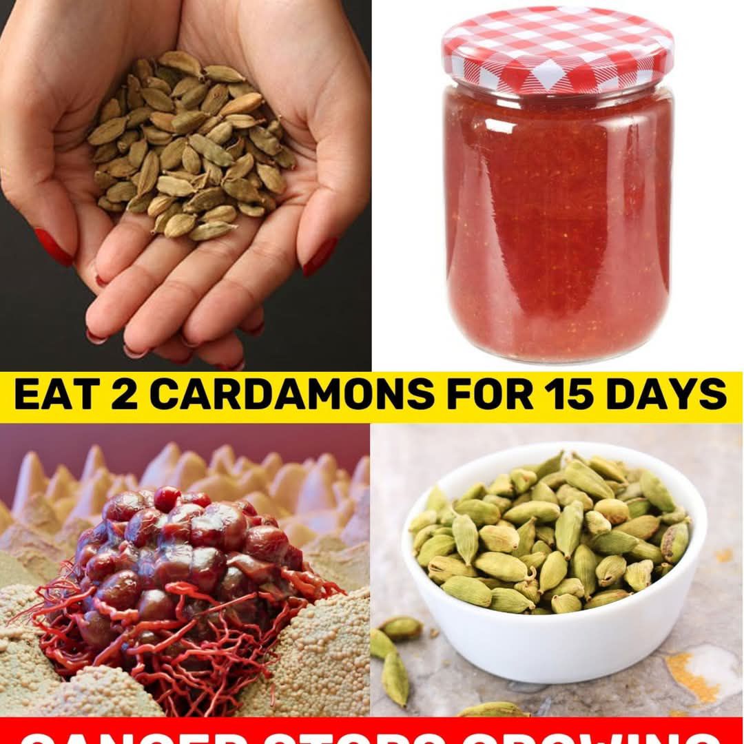 The Remarkable Health Benefits of Cardamom: A Spice for Wellness