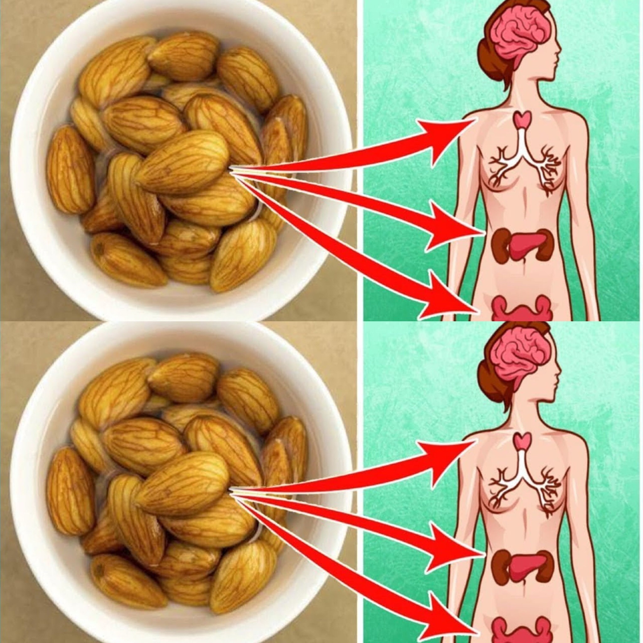 What Really Happens When You Eat Soaked Almonds Every Morning—Unbelievable Benefits Revealed
