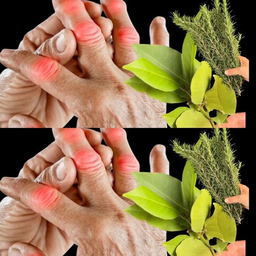 Bay Leaf: Nature’s Hidden Gem for Wellness and Vitality