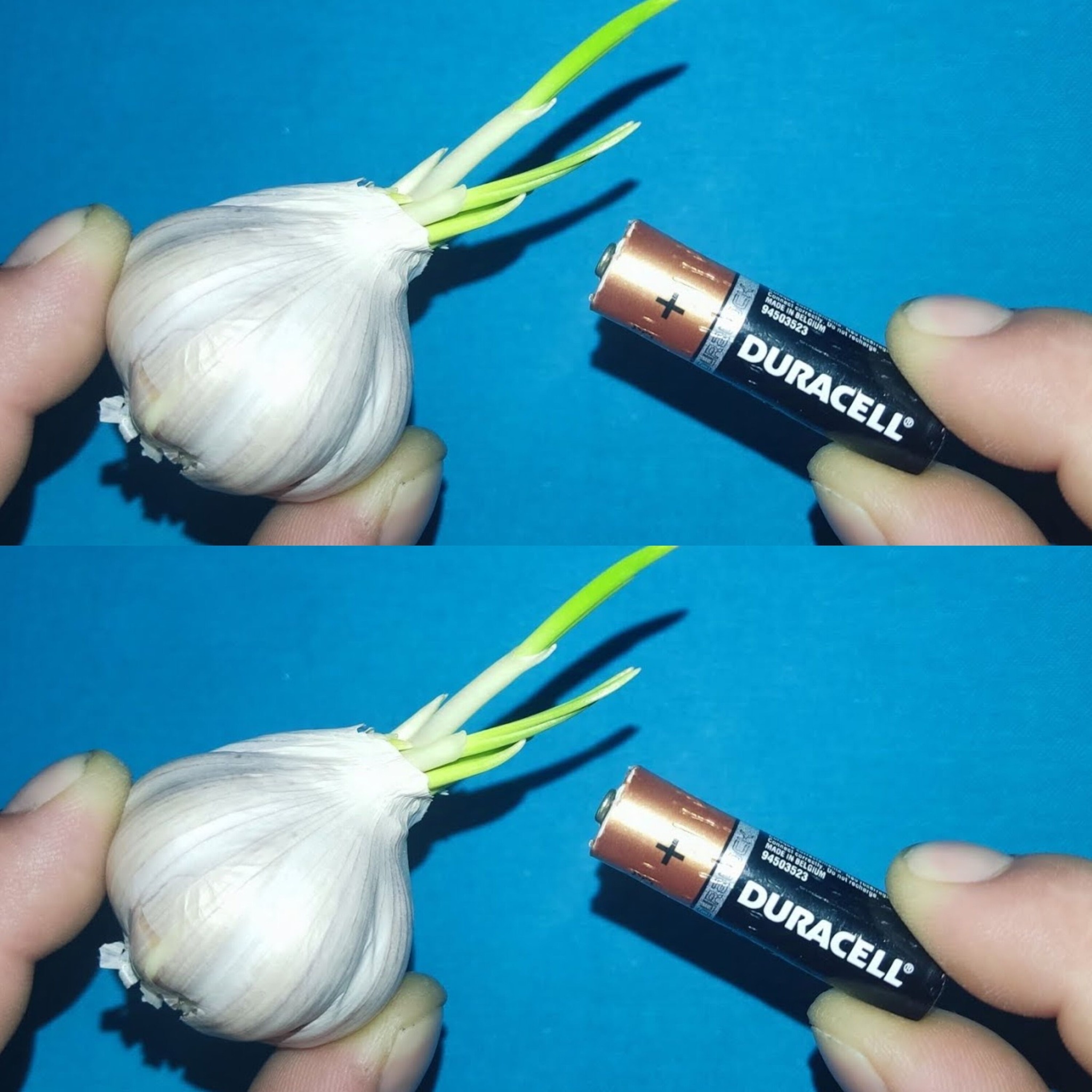 Just Use Garlic, and Your Old Batteries Can Be Reused! Never Buy New Batteries!
