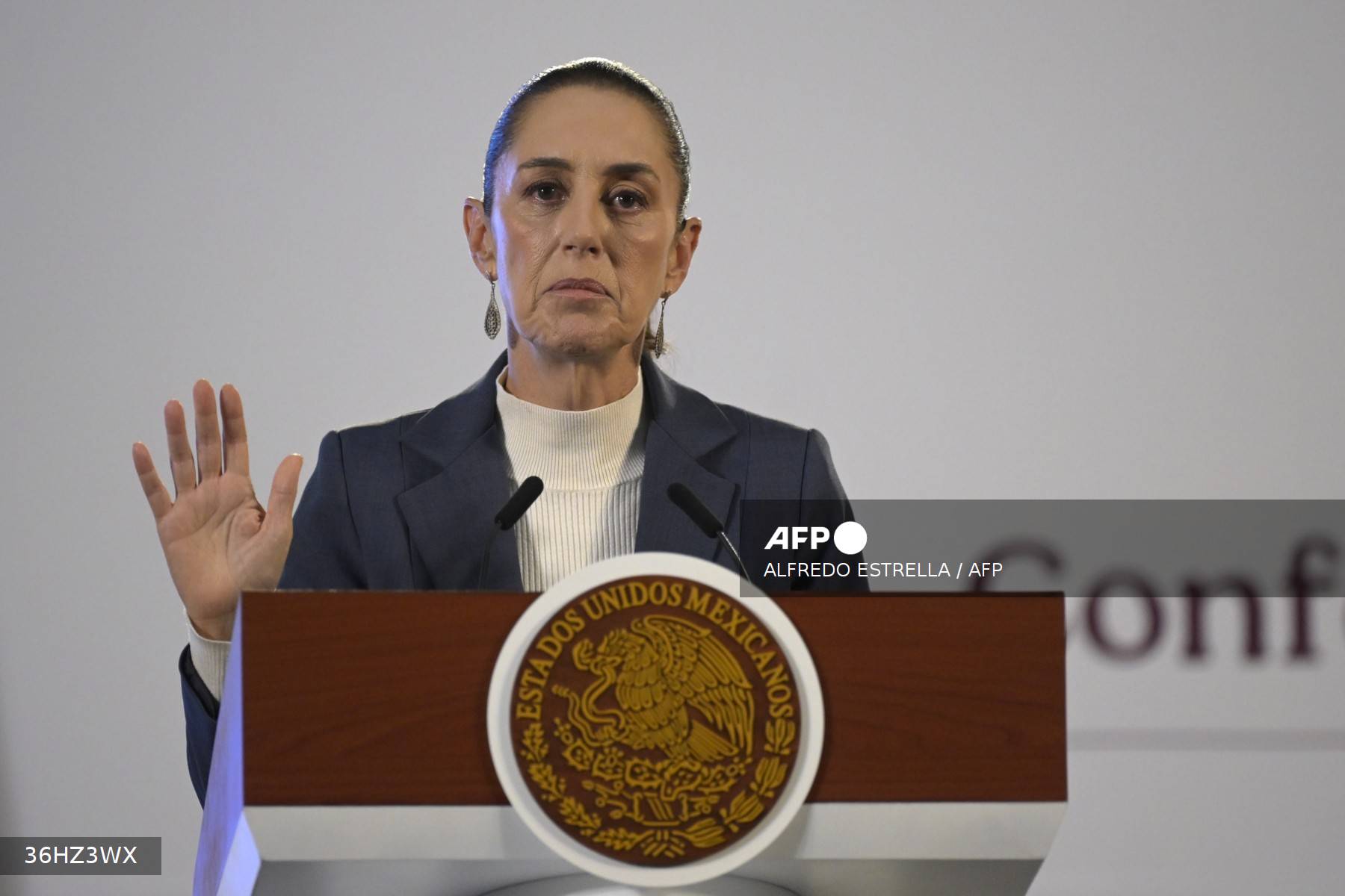 El Presidente de México Lanza Campaña para Retirar Armas de las Calles