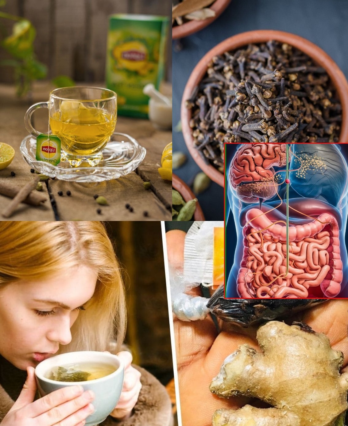 Mix Lipton, Cloves, and Ginger Tea
