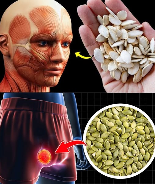 What Happens to Your Body When You Eat Pumpkin Seeds Every Day | Pumpkin Seeds Benefits