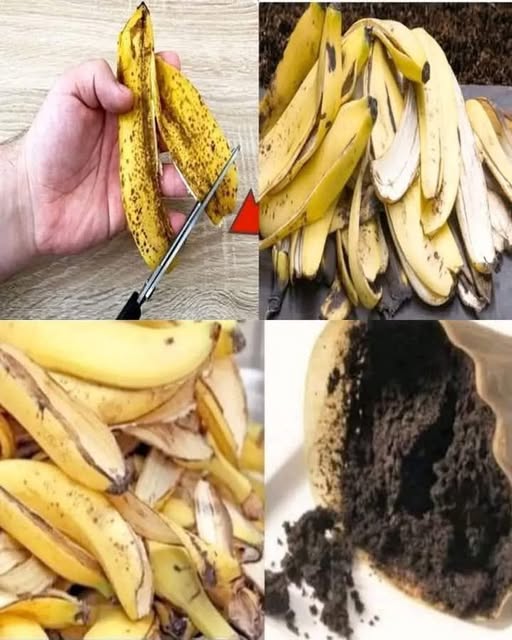 Stop Throwing Away Banana Peels! Put Them in a Bottle and Watch the Magic Happen! 🍌🍌🤩