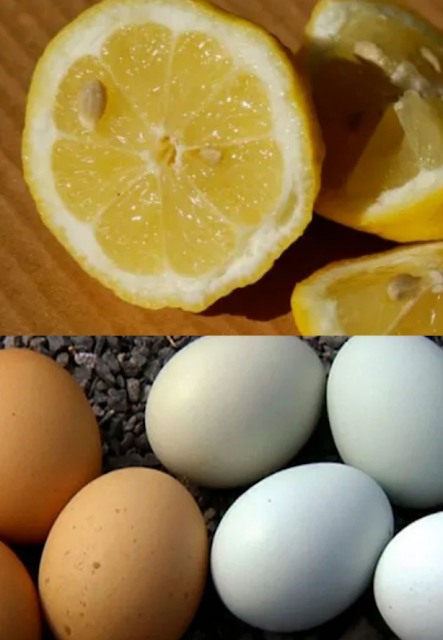 The Secret Lemon and Egg Recipe: A Hidden Gem Few Know About
